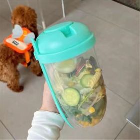 1pc Fresh Salad Cup; Keep Fit Salad Meal Shaker Cup; 1000ml/33.81oz; Portable Fruit Vegetable Milk Cup; 7.87''X2.33'' (Color: Mint Green, material: PP)
